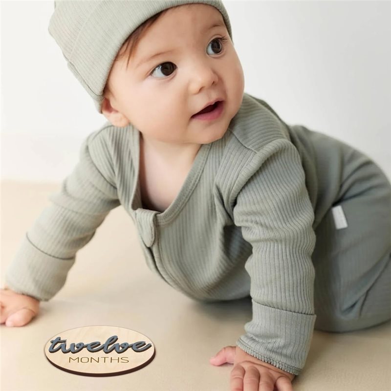 Papan Penanda Pertumbuhan Bayi - Milestone Card Set ulasan dan harga